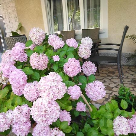 Apartman Paulina Διαμέρισμα Selce Εξωτερικό φωτογραφία