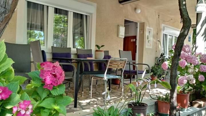 Apartman Paulina Διαμέρισμα Selce Εξωτερικό φωτογραφία