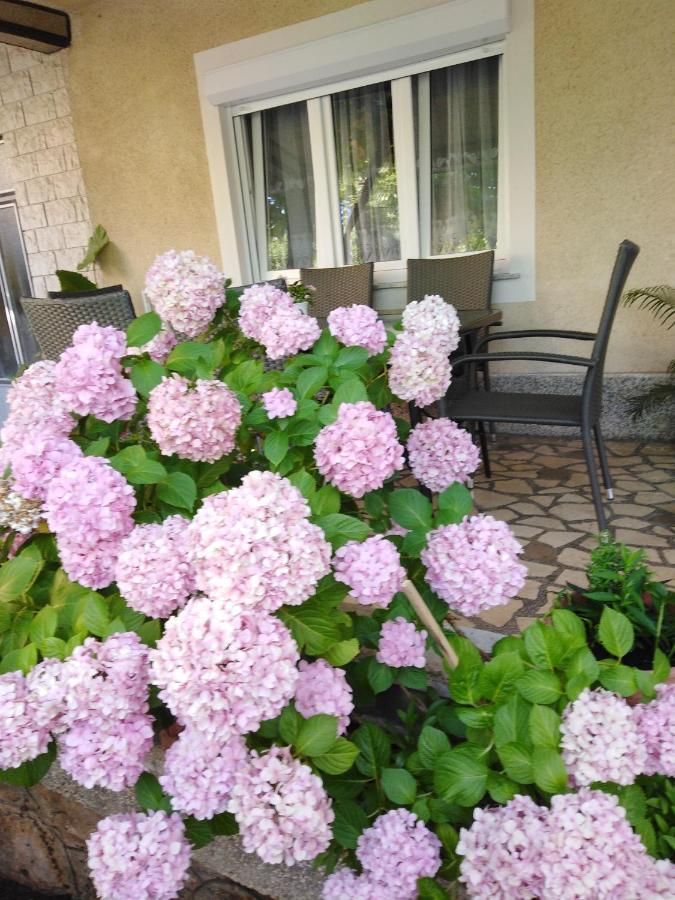 Apartman Paulina Διαμέρισμα Selce Εξωτερικό φωτογραφία